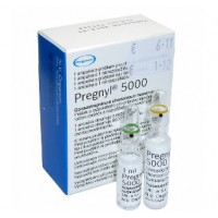 Pregnyl HCG 5000